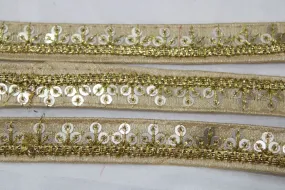 Beige Sequins Work Embroidered Border