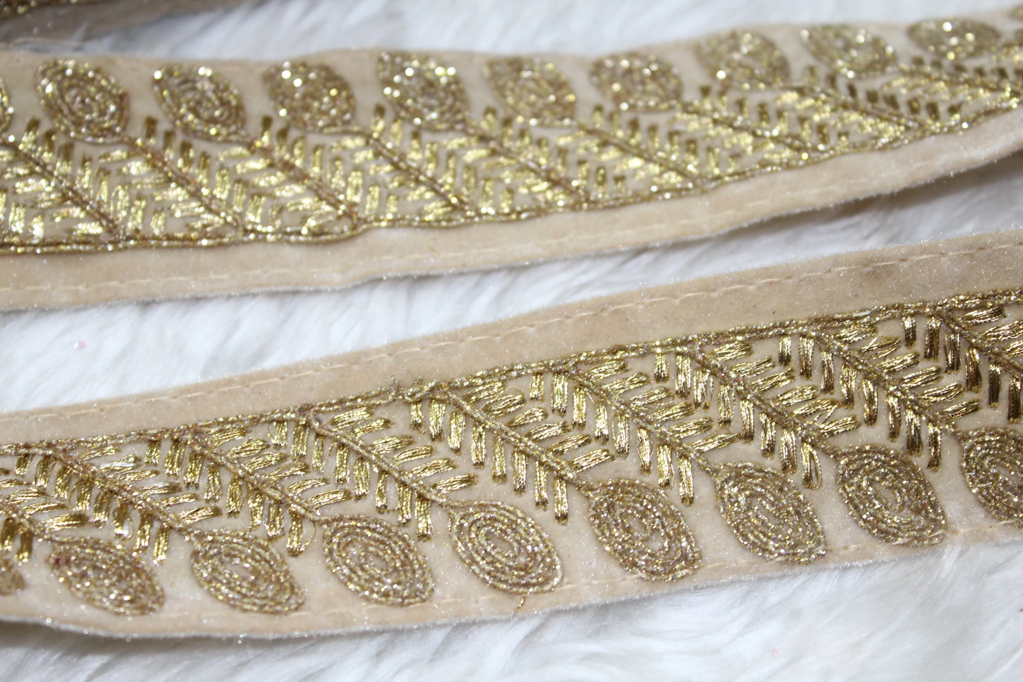 Beige Zari Border